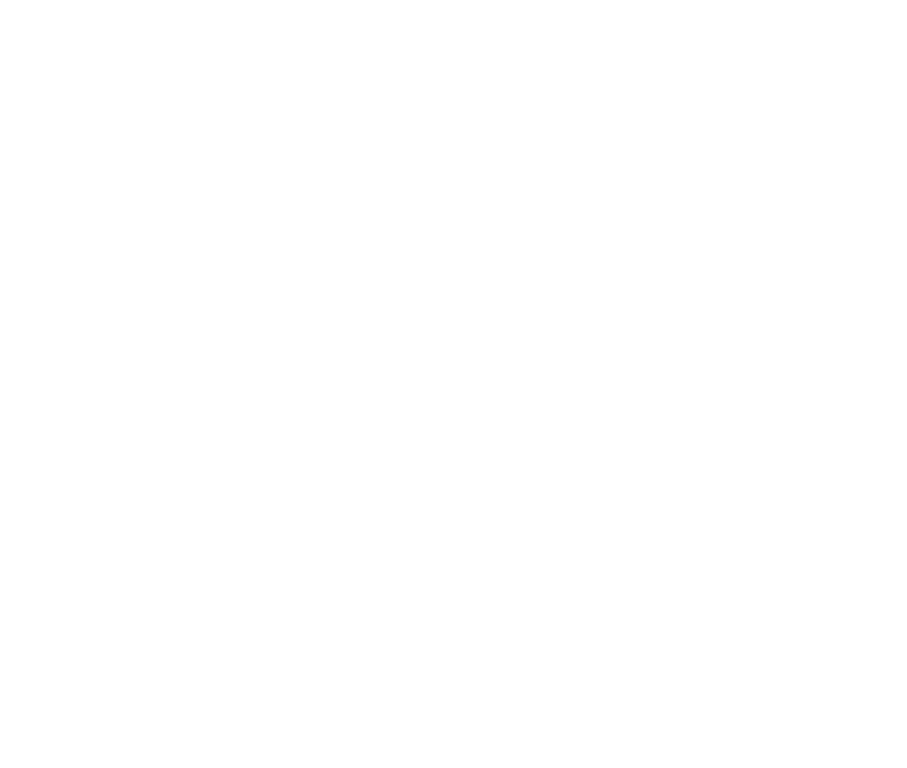 google-premier-partner-2023